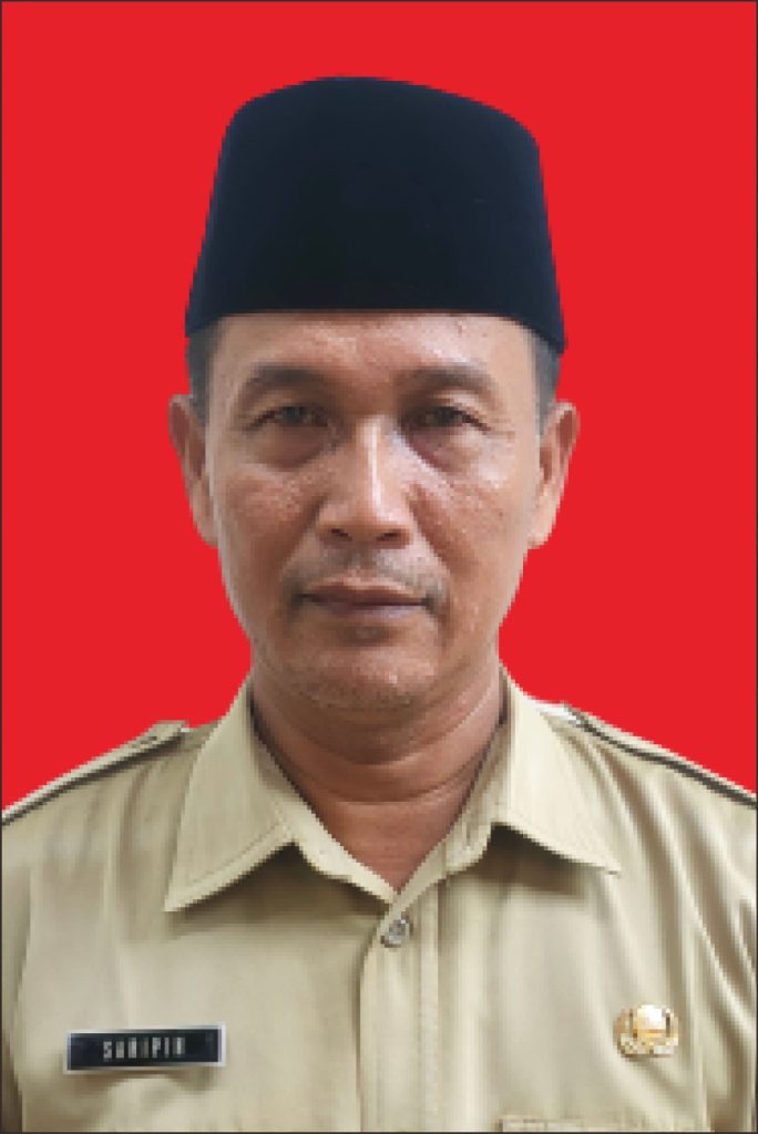 Saripin